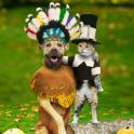 Thanksgiving Cat and Dog